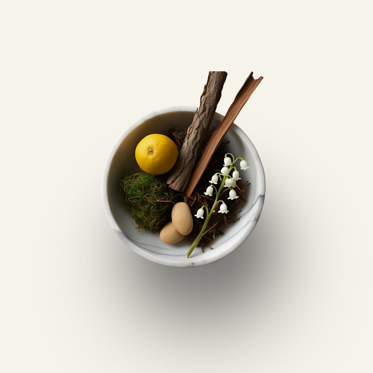 Collection L'Envoûtant