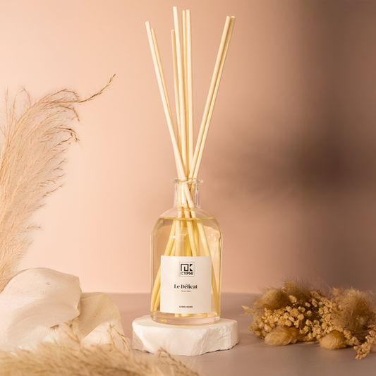 LE DELICAT DIFFUSEUR 250ML